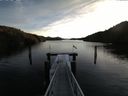 ./images/calvert/dock/20160101/dock20160101_093503.jpg