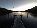 ./images/calvert/dock/20160103/dock20160103_090504.jpg