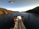 ./images/calvert/dock/20160104/dock20160104_113502.jpg