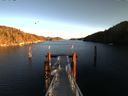 ./images/calvert/dock/20160104/dock20160104_145002.jpg
