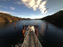 ./images/calvert/dock/20160105/dock20160105_114501.jpg