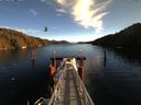 ./images/calvert/dock/20160105/dock20160105_115502.jpg