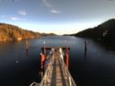 ./images/calvert/dock/20160105/dock20160105_123004.jpg