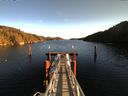 ./images/calvert/dock/20160105/dock20160105_123503.jpg