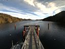 ./images/calvert/dock/20160108/dock20160108_122503.jpg