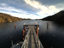 ./images/calvert/dock/20160108/dock20160108_123504.jpg