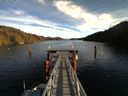 ./images/calvert/dock/20160108/dock20160108_124002.jpg