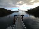 ./images/calvert/dock/20160110/dock20160110_111504.jpg