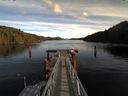 ./images/calvert/dock/20160110/dock20160110_134001.jpg