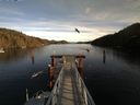 ./images/calvert/dock/20160110/dock20160110_141503.jpg