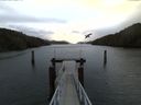 ./images/calvert/dock/20160113/dock20160113_101504.jpg