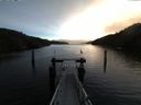 ./images/calvert/dock/20160115/dock20160115_091502.jpg