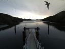 ./images/calvert/dock/20160115/dock20160115_105002.jpg