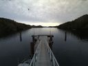 ./images/calvert/dock/20160115/dock20160115_153504.jpg