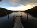 ./images/calvert/dock/20160119/dock20160119_145501.jpg