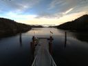 ./images/calvert/dock/20160119/dock20160119_154003.jpg