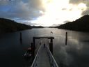 ./images/calvert/dock/20160131/dock20160131_094501.jpg