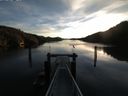 ./images/calvert/dock/20160209/dock20160209_083004.jpg