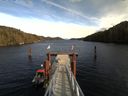 ./images/calvert/dock/20160220/dock20160220_144004.jpg