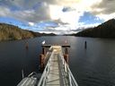 ./images/calvert/dock/20160222/dock20160222_122503.jpg