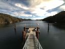 ./images/calvert/dock/20160227/dock20160227_115002.jpg