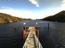 ./images/calvert/dock/20160303/dock20160303_121501.jpg