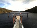 ./images/calvert/dock/20160303/dock20160303_125501.jpg