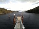 ./images/calvert/dock/20160303/dock20160303_133002.jpg