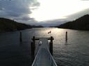 ./images/calvert/dock/20160309/dock20160309_075503.jpg