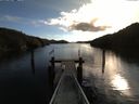 ./images/calvert/dock/20160325/dock20160325_102504.jpg