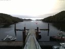 ./images/calvert/dock/20160408/dock20160408_070504.jpg