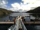 ./images/calvert/dock/20160408/dock20160408_125001.jpg