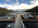 ./images/calvert/dock/20160408/dock20160408_142502.jpg
