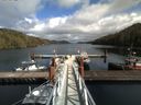 ./images/calvert/dock/20160408/dock20160408_144504.jpg