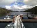 ./images/calvert/dock/20160408/dock20160408_145004.jpg