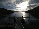 ./images/calvert/dock/20160409/dock20160409_084503.jpg