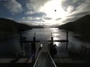 ./images/calvert/dock/20160409/dock20160409_085004.jpg