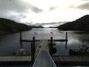 ./images/calvert/dock/20160409/dock20160409_104503.jpg