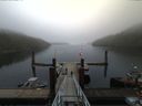 ./images/calvert/dock/20160410/dock20160410_082501.jpg