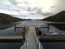 ./images/calvert/dock/20160425/dock20160425_150501.jpg