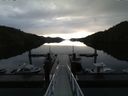./images/calvert/dock/20160427/dock20160427_074504.jpg