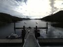 ./images/calvert/dock/20160427/dock20160427_101504.jpg