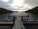 ./images/calvert/dock/20160430/dock20160430_085504.jpg