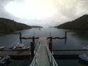 ./images/calvert/dock/20160503/dock20160503_081004.jpg