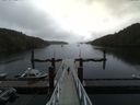 ./images/calvert/dock/20160503/dock20160503_082504.jpg