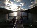 ./images/calvert/dock/20160504/dock20160504_072504.jpg