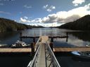./images/calvert/dock/20160504/dock20160504_112501.jpg