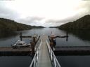 ./images/calvert/dock/20160507/dock20160507_140002.jpg