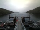 ./images/calvert/dock/20160517/dock20160517_200502.jpg