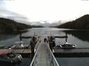 ./images/calvert/dock/20160518/dock20160518_105004.jpg